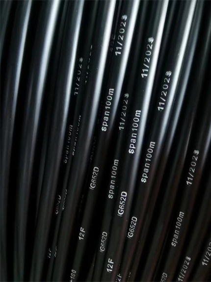 RAD-joins-the-North-American-Fiber-Broadband-Association-1.jpg