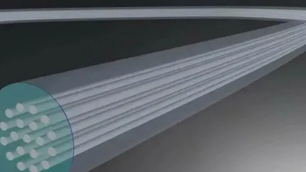 From operator-driven to global pricing, China's fiber optic industry is undergoing a historic transformation.