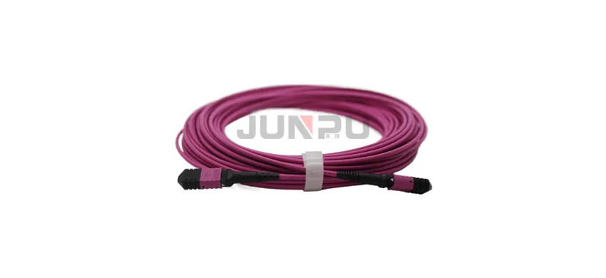 MPO OM4 MTP Patch Cable