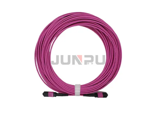 MPO OM4 MTP Patch Cable